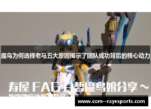 魔鸟为何选择老马五大原因揭示了团队成功背后的核心动力 魔鸟为何选择老马五大原因揭示了团队成功背后的核心动力